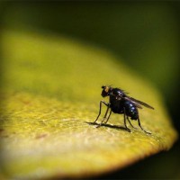 /album/aiden740ggeeblog/photolia-a07-jpg/